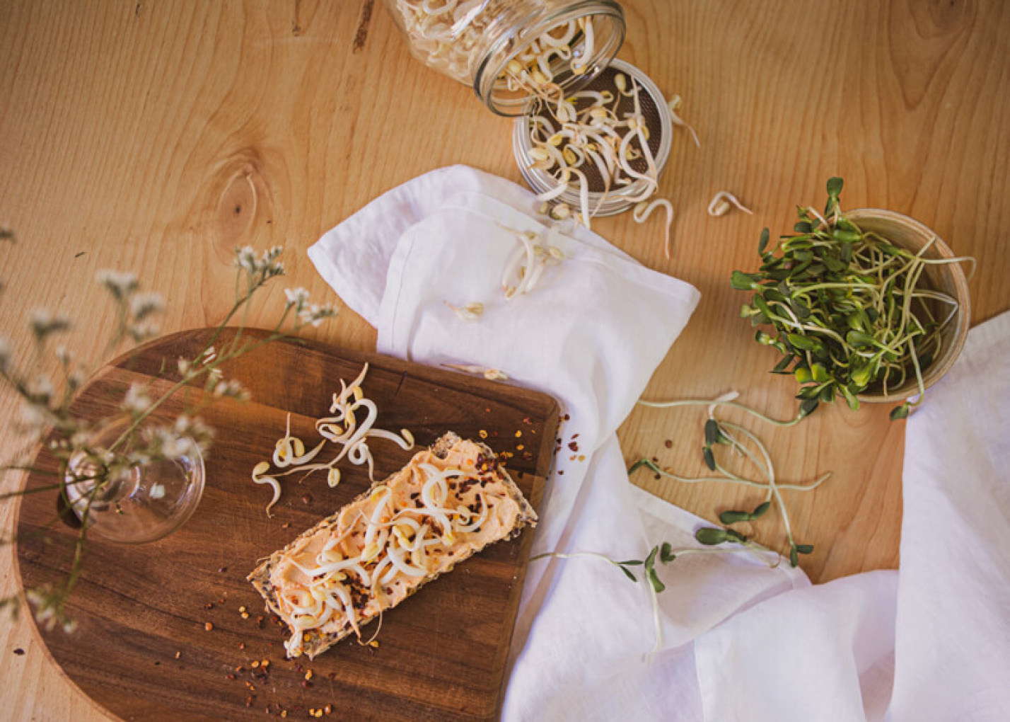 En enkel guide for å spire dine egne frø hjemme