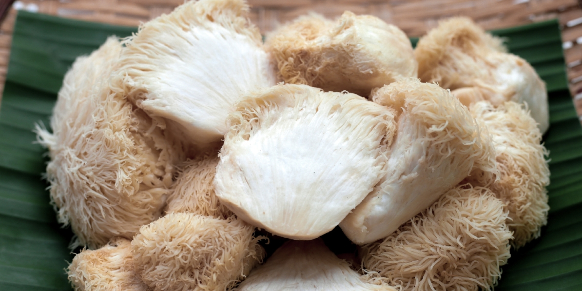 Lion's Mane: Den delikate soppen som balanserer brygget kaffe