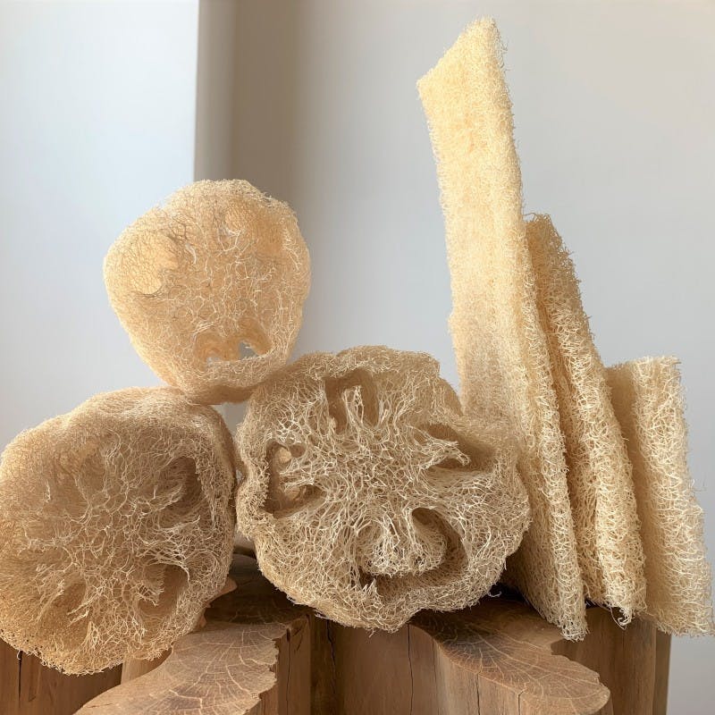 Loofah Svamp 25cm i gruppen Kroppspleie / Ferdige produkter / Såpe hos Rawfoodshop Scandinavia AB (LOO-L)