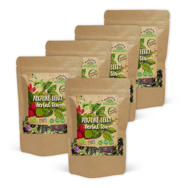 Bær & Urtete ØKO 100g x 5 pakker