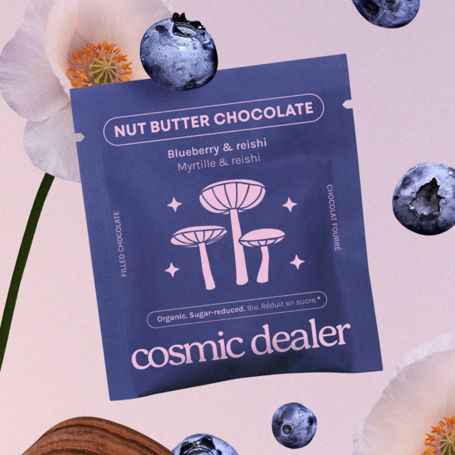 Sjokolade Blåbær & Reishi ØKO 20g