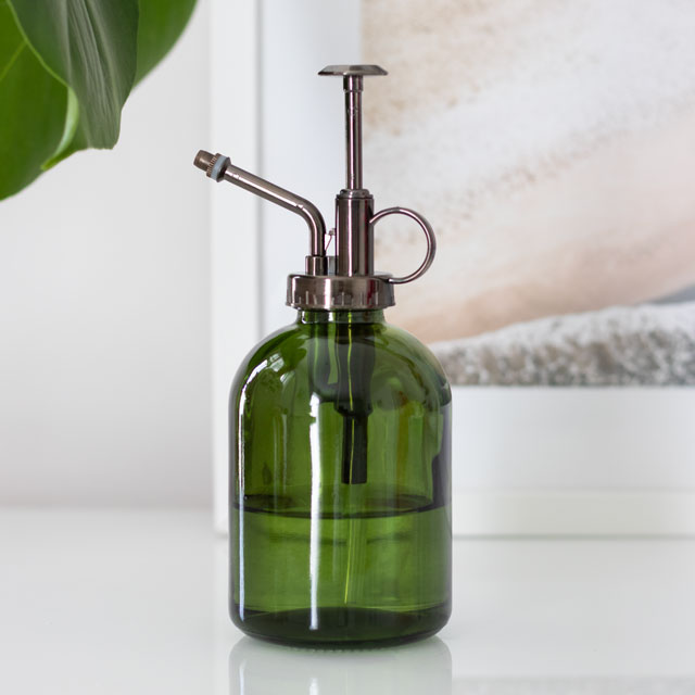 Grønn Minimalistisk Glass Plante Mister