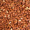 Peanøtter Premium RAW ØKO 1kg