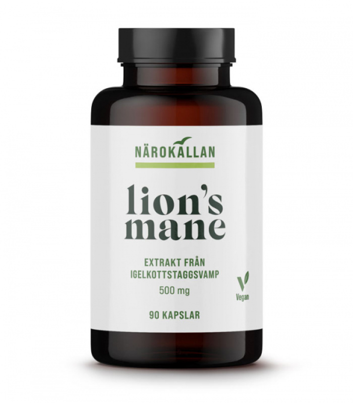 Lions Mane 500mg 90 kapsler i gruppen Kosttilskudd / Urter & Planter hos Rawfoodshop Scandinavia AB (1969)