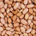 Peanøtter Premium Skrelt RAW ØKO 500g