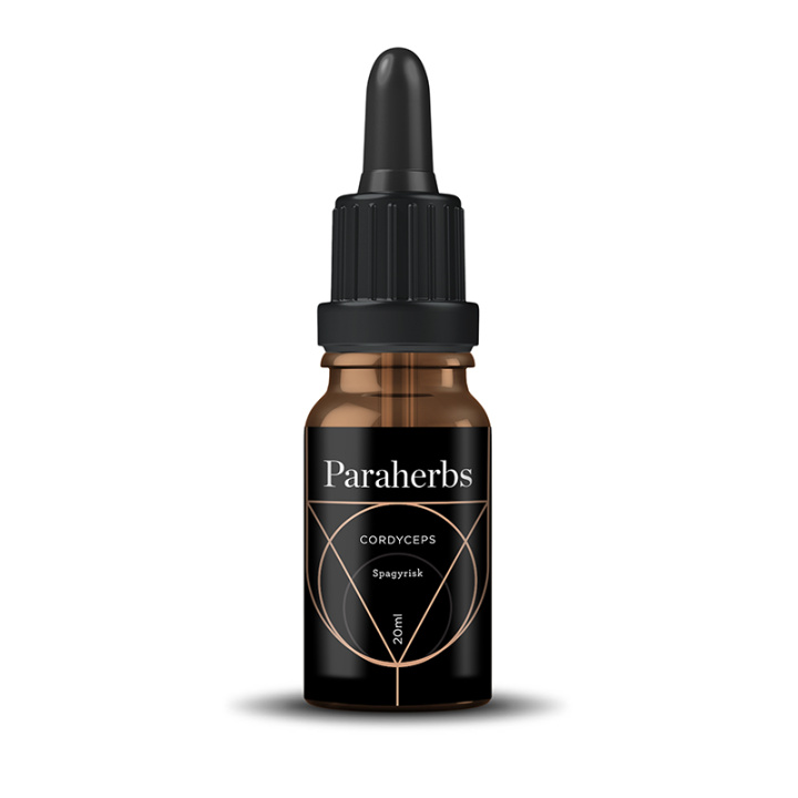 Cordyceps Spagyriske Tinktur 20ml i gruppen Kosttilskudd / Urter & Planter / Urter hos Rawfoodshop Scandinavia AB (4007)