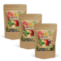 Feel Good Vill Urtete 100g x 3 pakker