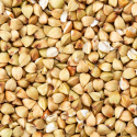 Bokhvetemel ØKO 1kg
