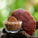 Kakaopulver Seremoniell Reishi & Chaga 100g