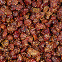 Jordbær ØKO 100g