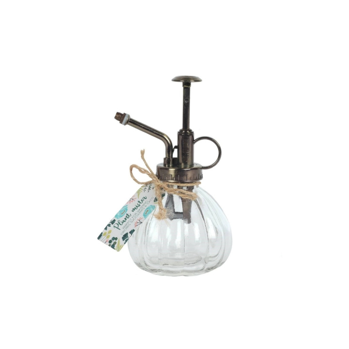 Blomstersprøyte Transparent 230ml i gruppen Hjem & Sjel / Dekke & innrede / Interiør hos Rawfoodshop Scandinavia AB (BM-17428)