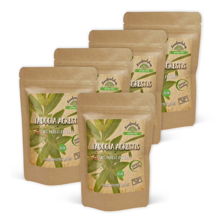 Fadogia Agrestis Extract 500mg 60 kapsler x 5 pakker i gruppen Kosttilskudd / Urter & Planter / Urter hos Rawfoodshop Scandinavia AB (CAPFAD60-SET5)