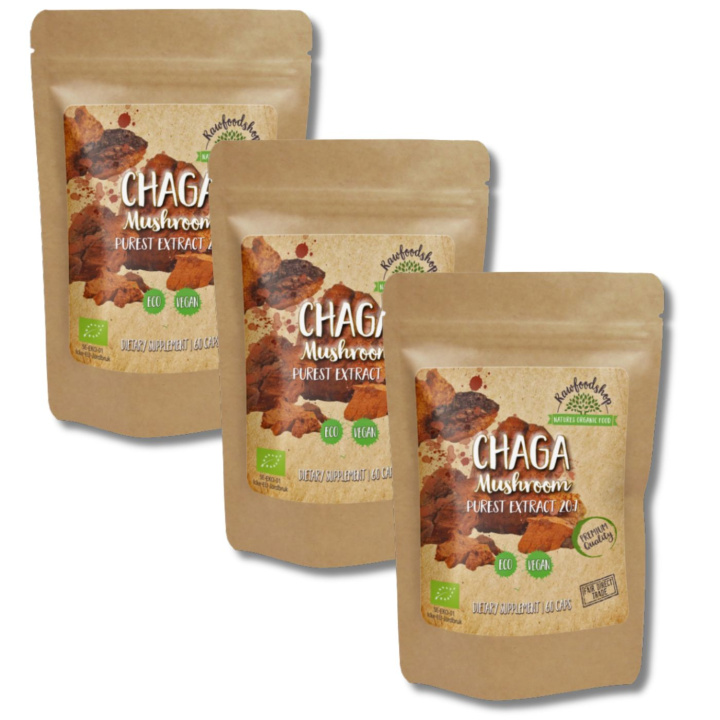 Chaga Extract ØKO 400mg 60 kapsler x 3 pakker i gruppen Kosttilskudd / Urter & Planter / Sopp hos Rawfoodshop Scandinavia AB (CAPSCHA60-SET3)
