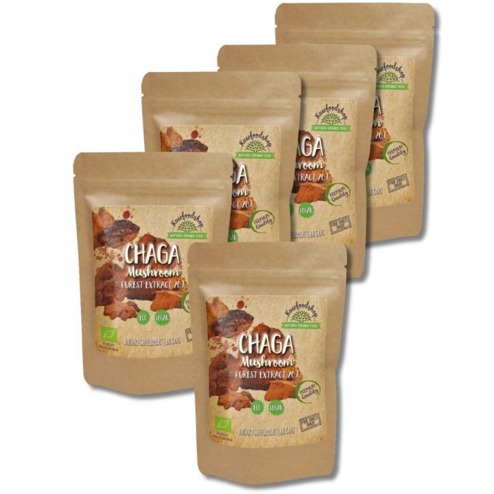 Chaga Extract ØKO 400mg 60 kapsler x 5 pakker i gruppen Kosttilskudd / Urter & Planter / Sopp hos Rawfoodshop Scandinavia AB (CAPSCHA60-SET5)