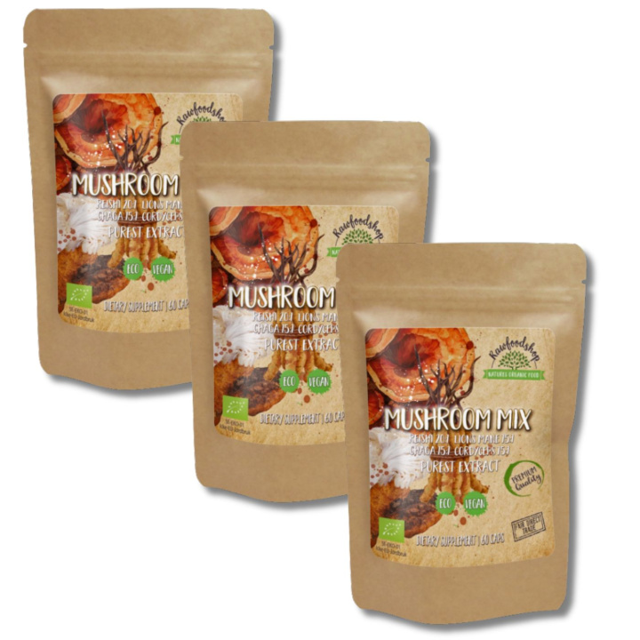 Mushroom mix Extract ØKO 400mg 60 kapsler x 3 pakker i gruppen Kosttilskudd / Urter & Planter / Sopp hos Rawfoodshop Scandinavia AB (CAPSMUS60-SET3)