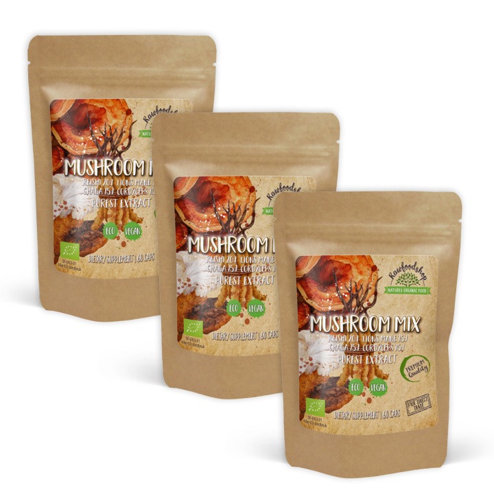 Mushroom mix Extract ØKO 400mg 60 kapsler x 3 pakker i gruppen Kosttilskudd / Urter & Planter / Sopp hos Rawfoodshop Scandinavia AB (CAPSMUS60-SET3)