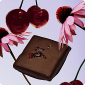 Sjokoladeboks High-Vibes 7 varianter ØKO 7 x 20g