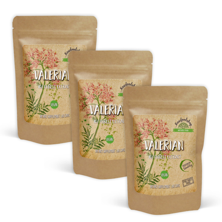 Valerian Extract 500mg 60 kapsler x 3 pakker i gruppen Kosttilskudd / Urter & Planter / Urter hos Rawfoodshop Scandinavia AB (CUVALE60CAP-SET3)