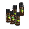 Energising Essential Oil Blend 10ml x 5 flasker