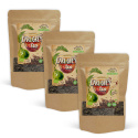 Earl Grey Te ØKO 100g x 3 pakker