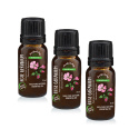 Rosengeranium Eterisk Olje 10ml x 3 flasker