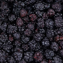 Bjørnebær ØKO 100g