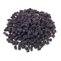 Mulbær Svarte ØKO 500g