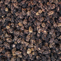 Mulbær Svarte ØKO 500g
