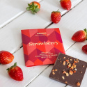 Jordbær Sjokolade 49% ØKO 48g