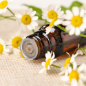 Kamille Eterisk Olje 50ml