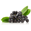 Aronia Pulver ØKO 125g