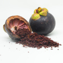 Mangostanpulver ØKO 125g