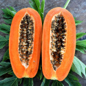 Papaya ØKO 500g