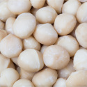Macadamianøtter Premium RAW ØKO 500g