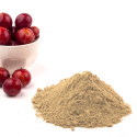 Camu Camu Pulver ØKO 125g