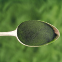 Chlorella Pulver ØKO 125g