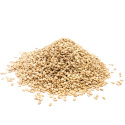 Sesamfrø uskallet ØKO 1kg
