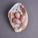 Snegleskall Mother of Pearl Rosa Stort