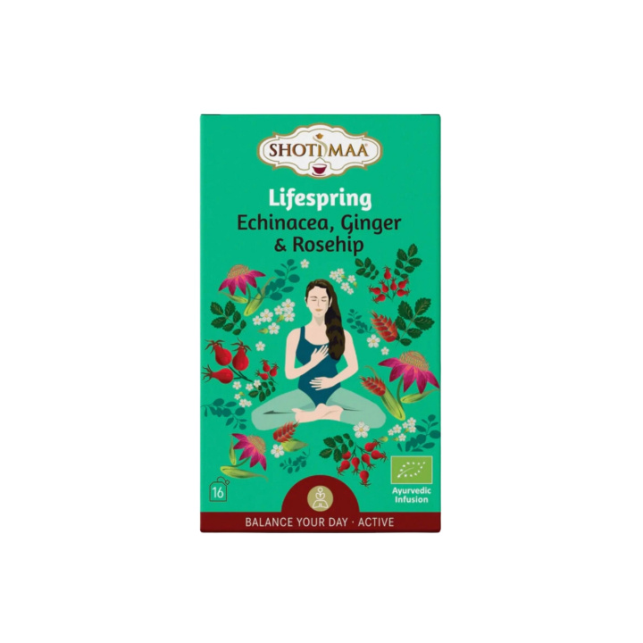 Echinacea, Ingefær & Nype Urtete ØKO 16 x 2g i gruppen Råvarer & Drikke / Drikkevarer / Te hos Rawfoodshop Scandinavia AB (SKU-798)