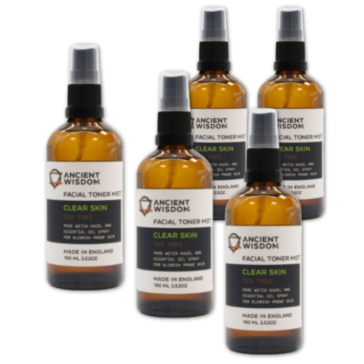 Face Mist Witch Hazel & Tea Tree 100ml x 5 stk i gruppen Hud & Kropp / Kropp / Dusjsåpe hos Rawfoodshop Scandinavia AB (WSPUL-03-SET5)